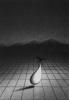 Opus Gran Harry Mulisch|1982||