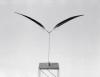 Dubio|1982|h60cm|