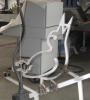 Vogel Langs Zwembadrand constructie|2005||RVS