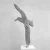 Vogels II (albatros)|2008|185x85x25cm|In zand gegoten aluminium