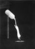 De Sprong|1982|23x16cm|