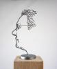 Hans van Dijk|2010|RVS|